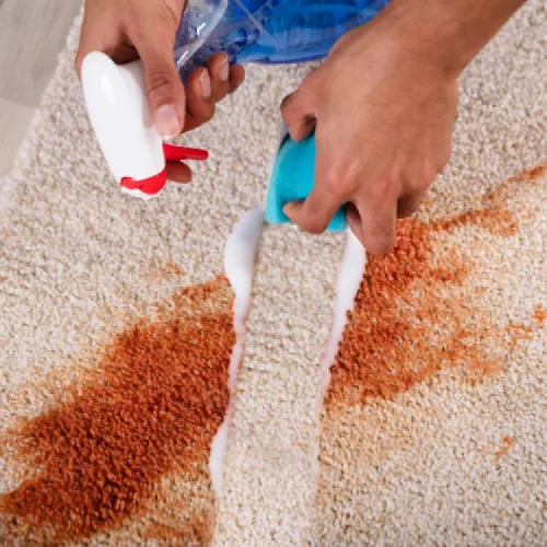 Stain & Spot Removal 1